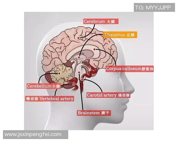 科学排球中的意识训练方法探究与实践技巧分享 科学排球中的意识训练方法探究与实践技巧分享